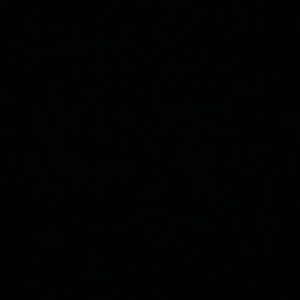 Meet your Posher, Russell